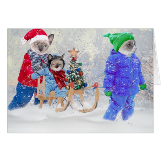 Carte de voeux Kittens Winter Wonderland (Devant horizontal)