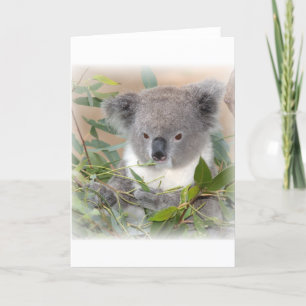 Carte de voeux Koala Bear