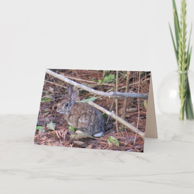 Carte de voeux lapin lapin (Devant)