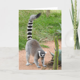 Carte de voeux Lemur