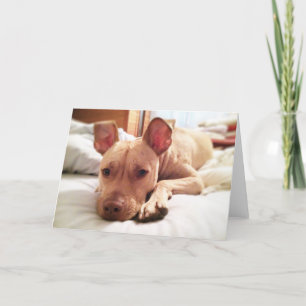 Carte de voeux Leon pliée