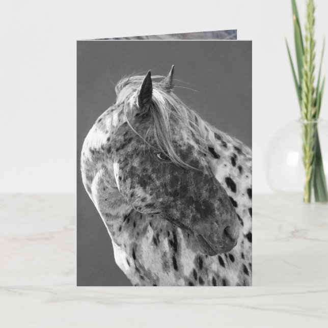 Carte de voeux Leopard Appaloosa Horse (Devant)