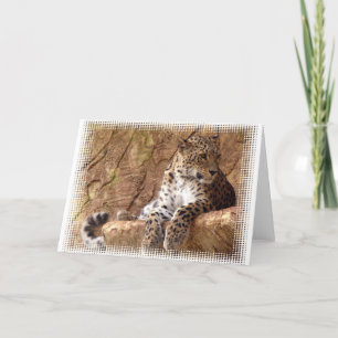 Carte de voeux Leopard de veille