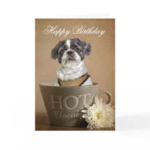 Carte de voeux Lhasa apso