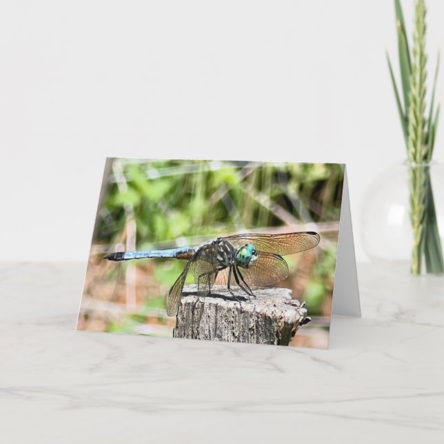 Carte de voeux Libellule bleue  (Devant)