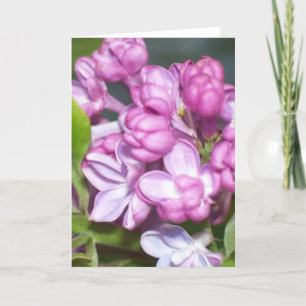 Carte de voeux Lilac