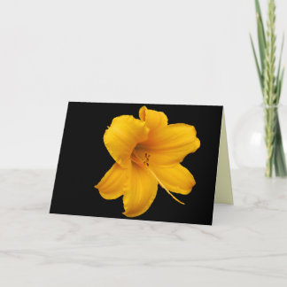 Carte de voeux Lilies et Daffodils
