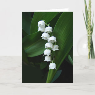 Carte de voeux Lily of the Valley