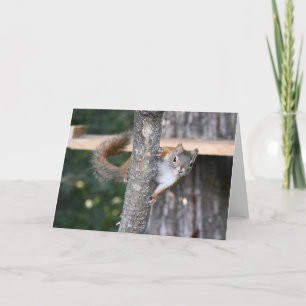 Carte de voeux M. Bickles