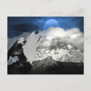 Carte de vœux magnifique avec husky pour les fêtes