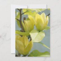 Carte de voeux Magnolia Arbre Jaune