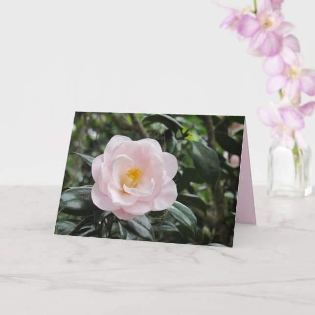 Carte de voeux Magnoliaeflora Camellia Flower (Orchidée)