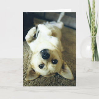 carte de voeux manquante