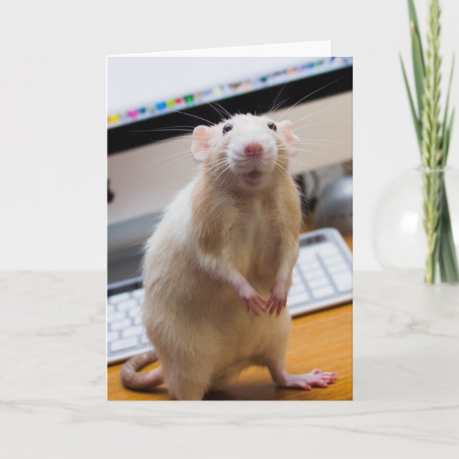 Carte de voeux Marty Mouse debout (Devant)