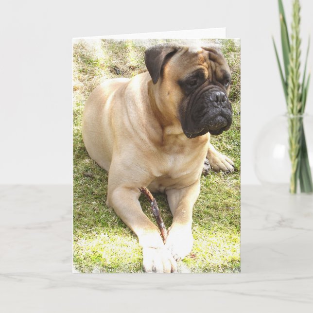 Carte de voeux Mastiff (Devant)