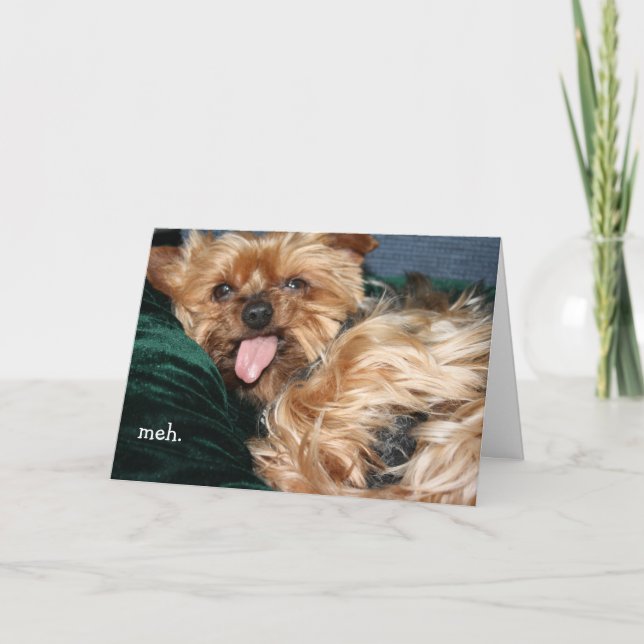 Carte de voeux "meh - doan want" (Devant)