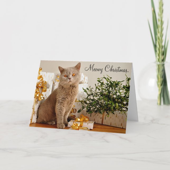 Carte de voeux Meowy Joyeux Noël Chat (Devant)