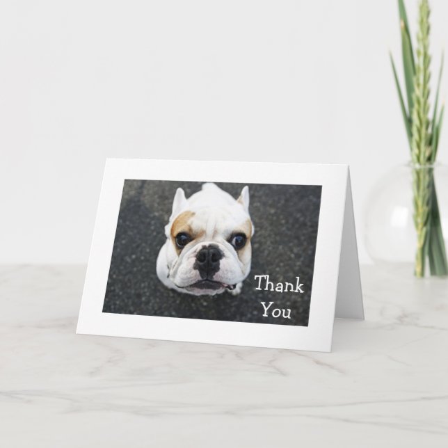 Carte de voeux Merci Bulldog - Verse cadeau (Devant)