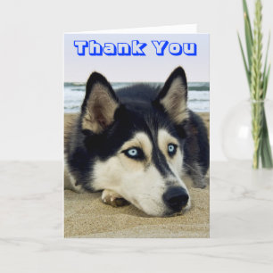 Carte de voeux Merci Chien Chien Chien Sibérie Hus