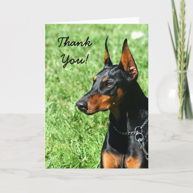 Carte de voeux Merci Doberman Pinscher (Devant)