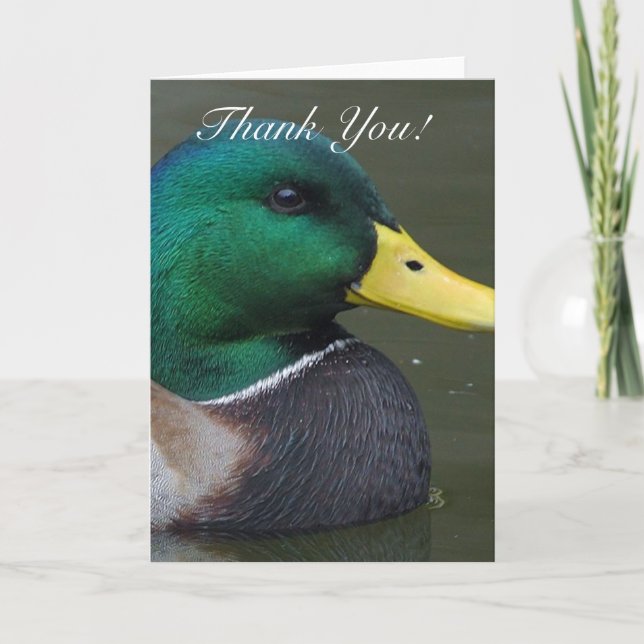 Carte de voeux Merci Mallard Duck (Devant)