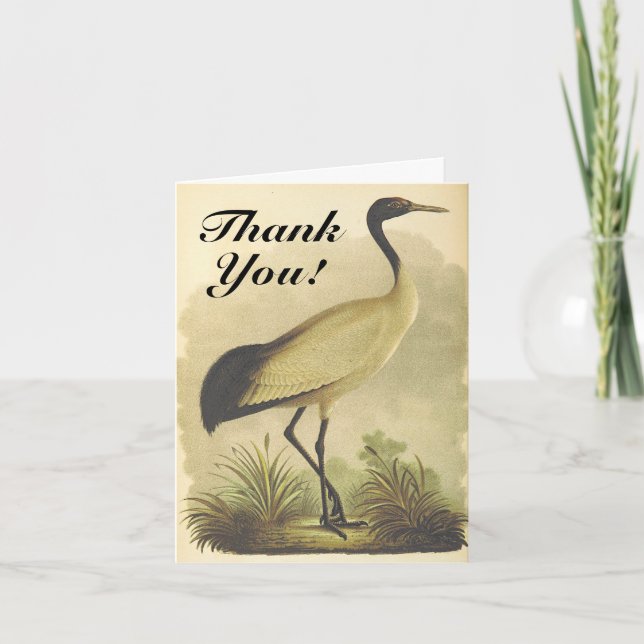 Carte de voeux Merci Oiseau Haut Standing (Devant)