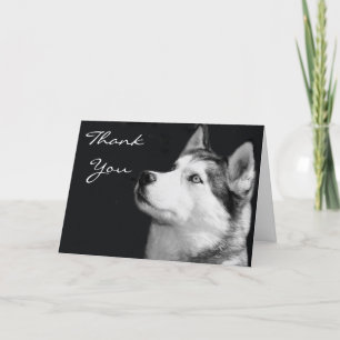Carte de voeux Merci Siberian Husky