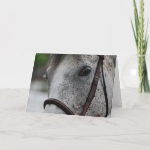 Carte de voeux mignonne de cheval d'Appaloosa