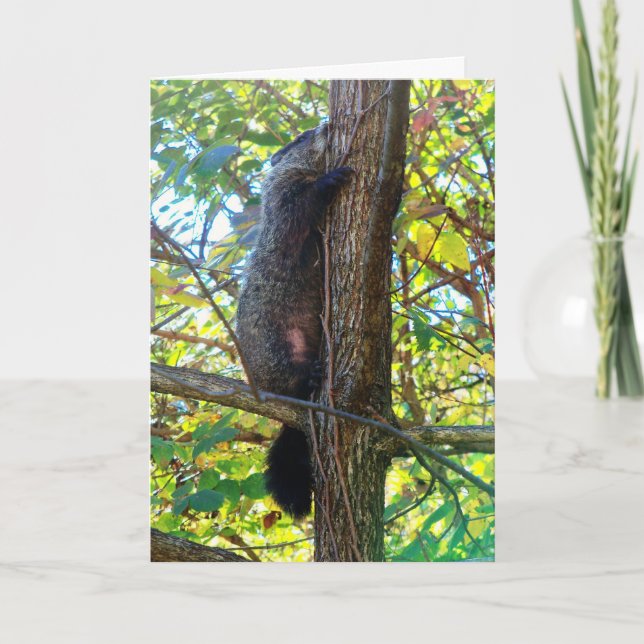 Carte de voeux mignonne Je Vous Manque (Devant)