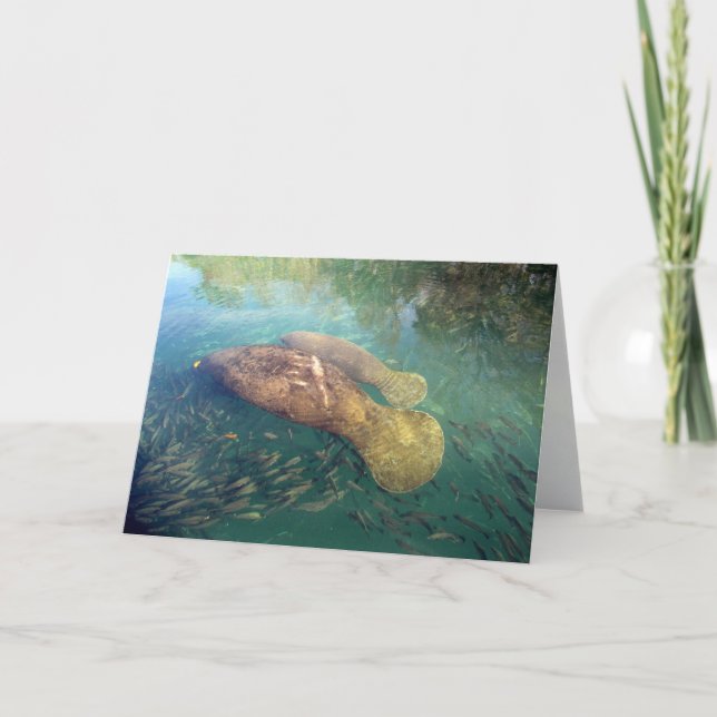Carte de voeux Momma et Baby Manatee (Devant)