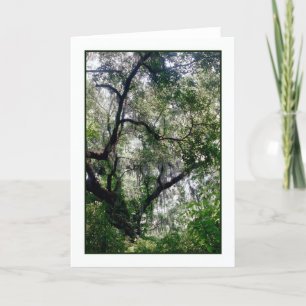 Carte de voeux Moss Canopy