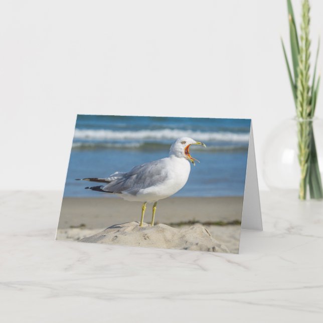 Carte de voeux - Mouette de mer de Yawning (Devant)