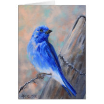 Carte de voeux Mountain Bluebird Fine Art