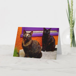 Carte de voeux Mystical Monkey Cats