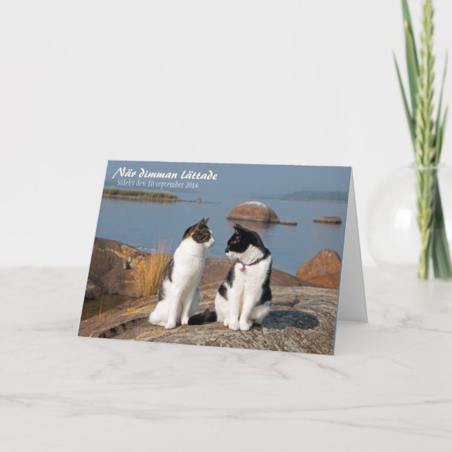 Carte de voeux När dimman lättade CC0548 Sideby (Devant)