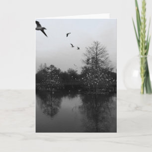 Carte de voeux nature