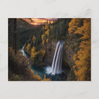 carte de voeux nature et beauté