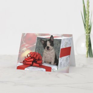 Carte de voeux Noël Boston Terrier