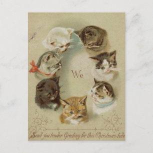 Carte de voeux Noël chats