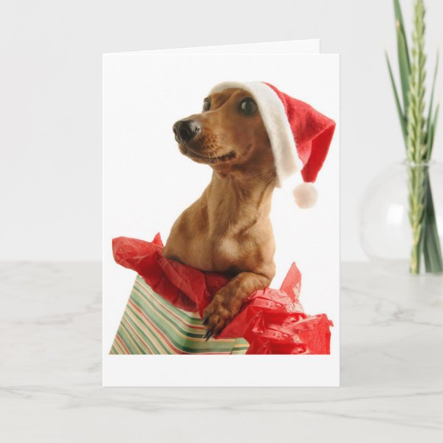 Carte de voeux Noël Dachshund (Devant)
