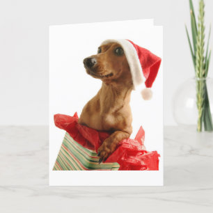 Carte de voeux Noël Dachshund