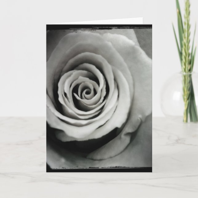 Carte de voeux noire et blanche de blanc de rose (Devant)