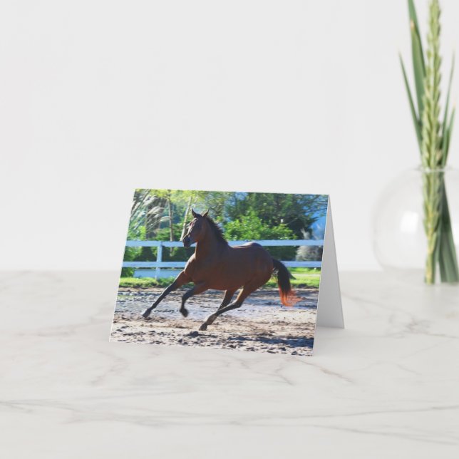 Carte de voeux/note de cheval 5 (Devant)