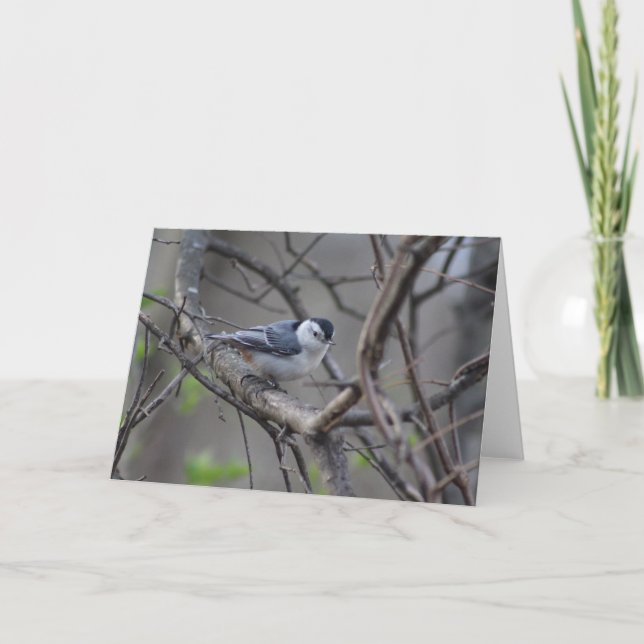 Carte de voeux Nuthatch (Devant)