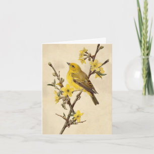 Carte de vœux oiseau vintage
