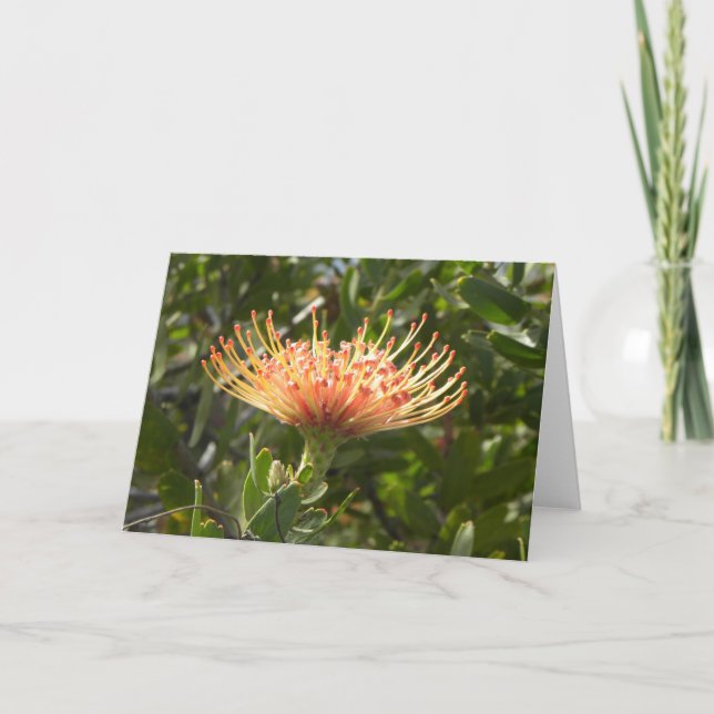 Carte de voeux orange de fleur de pelote à (Devant)