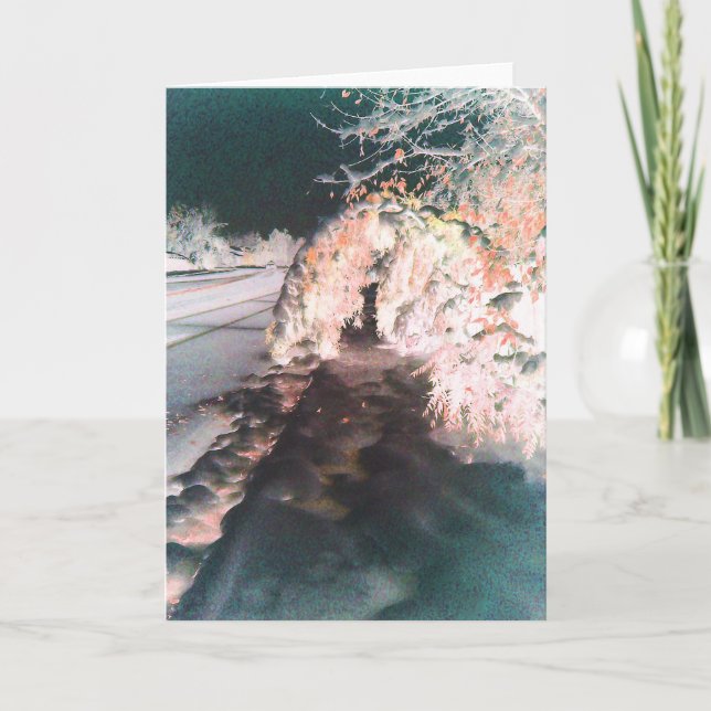 Carte de voeux orange fée (Devant)