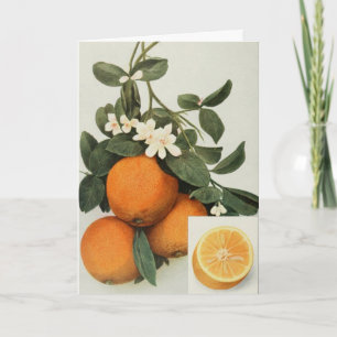Carte de voeux ORANGES
