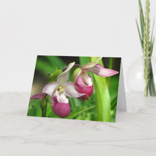 Carte de voeux Orchidée