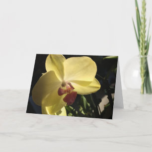 Carte de vœux Orchidée jaune vierge à l'intérieur